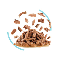 Feline Health Nutrition Sensory Feel Gravy (WET FOOD - POUCHES) 12 x 85g