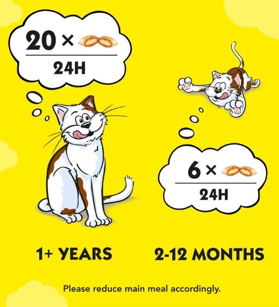 Dreamies Cat Treats - Salmon 60g