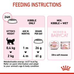 Feline Health Nutrition Mother & Babycat