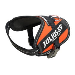 IDC High Visibility Powerharness - UV Orange  Size Baby 2