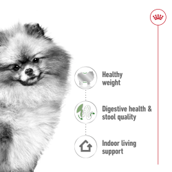 Size Health Nutrition Mini Indoor Adult 1.5 KG
