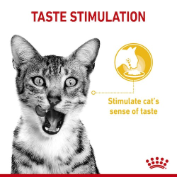 Feline Health Nutrition Sensory Taste Gravy (WET FOOD - POUCHES) 12 x 85g