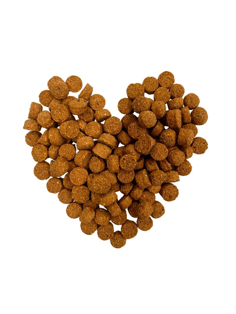 Precious Creatures Dry dog food