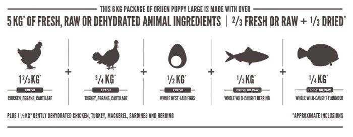Orijen Puppy Large Dry Dog Food