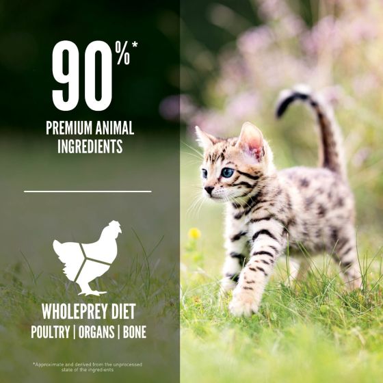 Orijen Kitten Dry Food 1.8kg