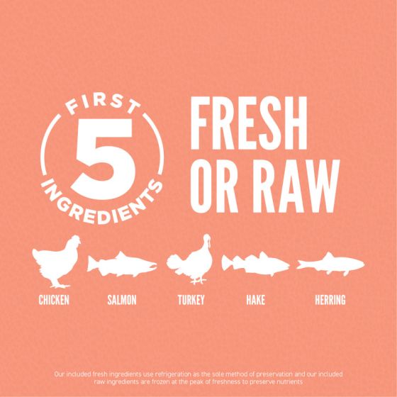 Orijen Puppy Small Breed Dry Dog Food 1.8kg