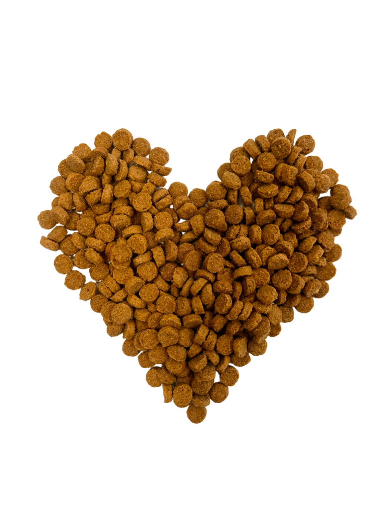 Precious Creatures Dry dog food