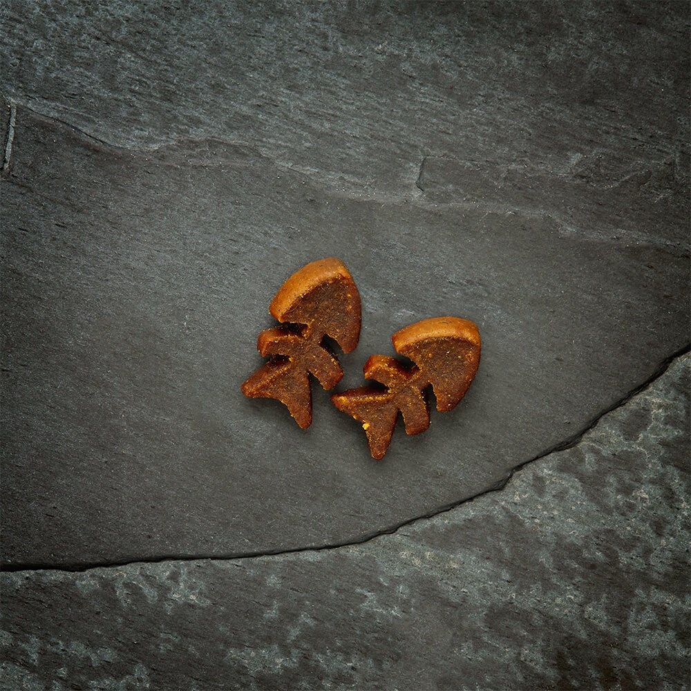 Canagan Softies Grain-Free Salmon Cat Treats 50g