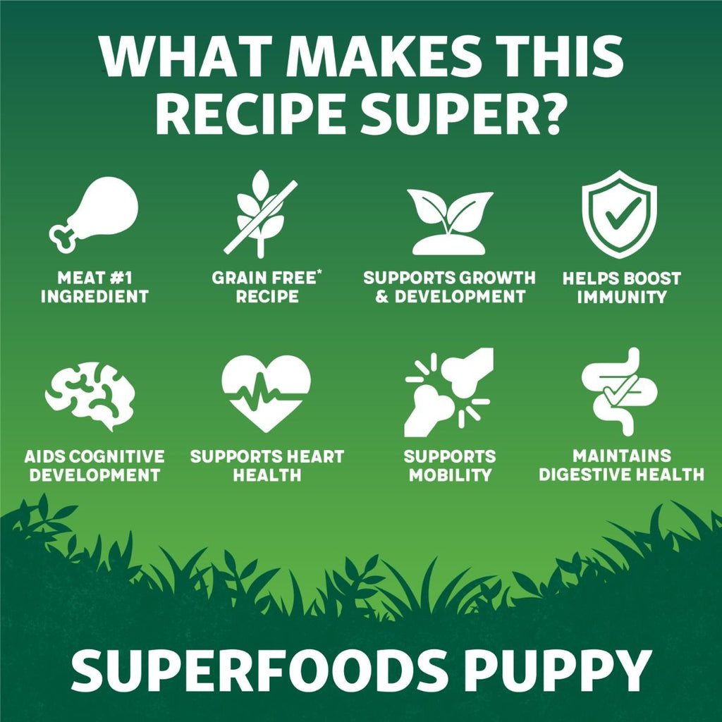 Harringtons Superfoods Chicken with Vegetables Puppy Dry Dog Food