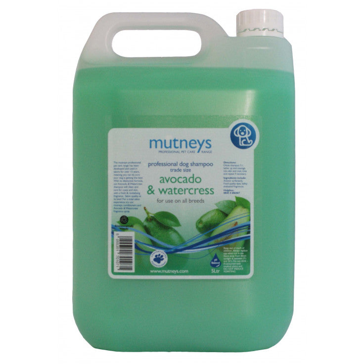 Avocado & Watercress Shampoo 5 LTR