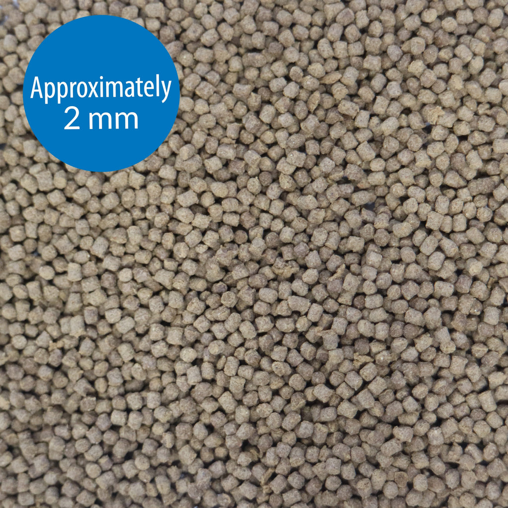 API PELLETS TROPICAL FISH FOOD