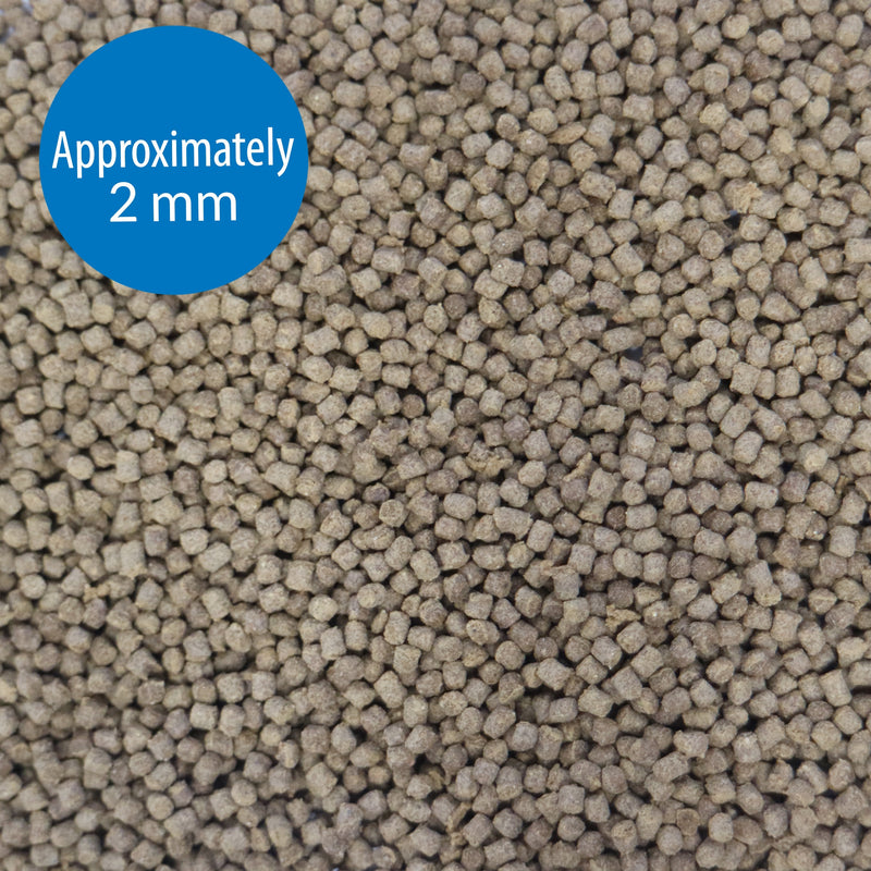 API PELLETS TROPICAL FISH FOOD