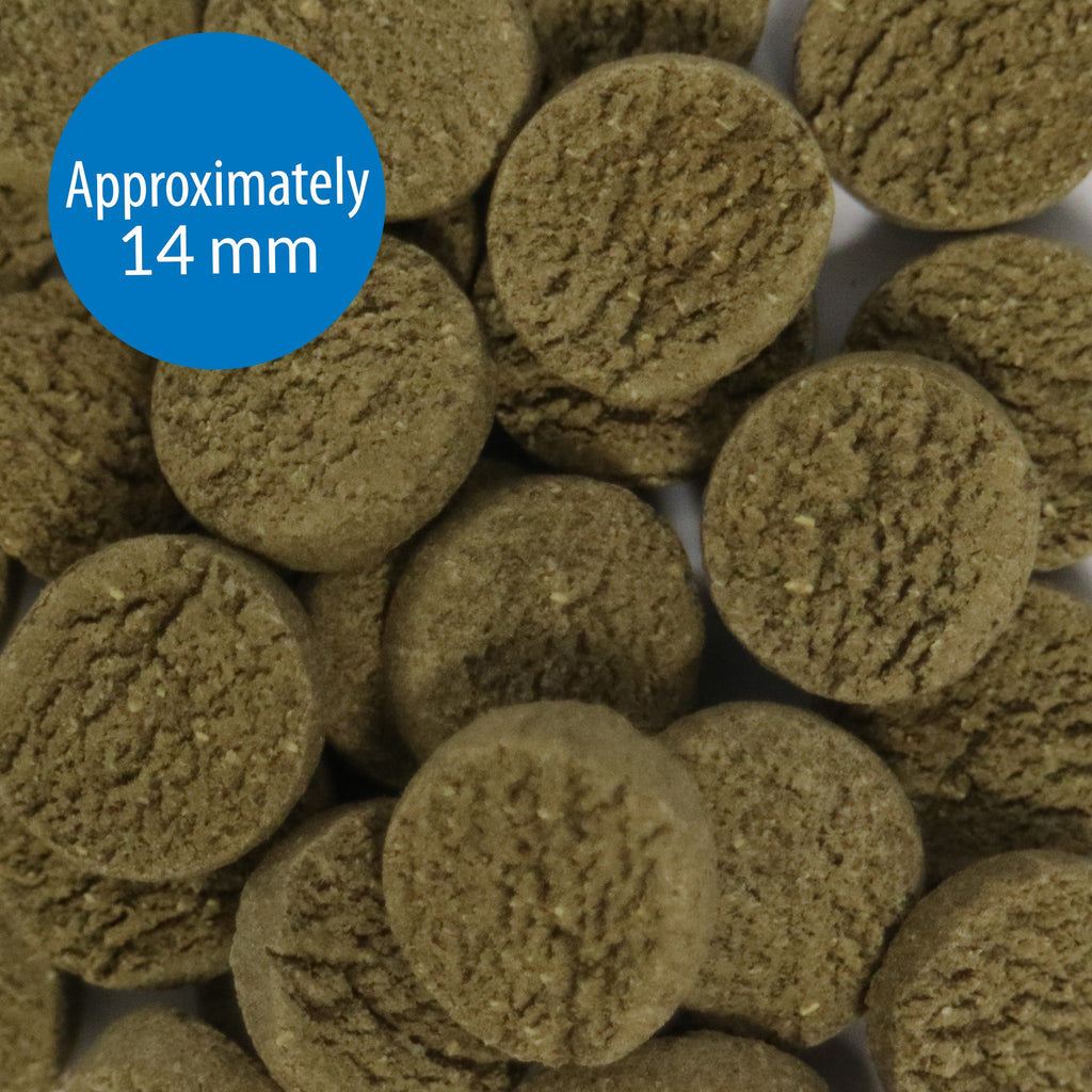 API ALGAE EATER WAFERS FISH FOOD