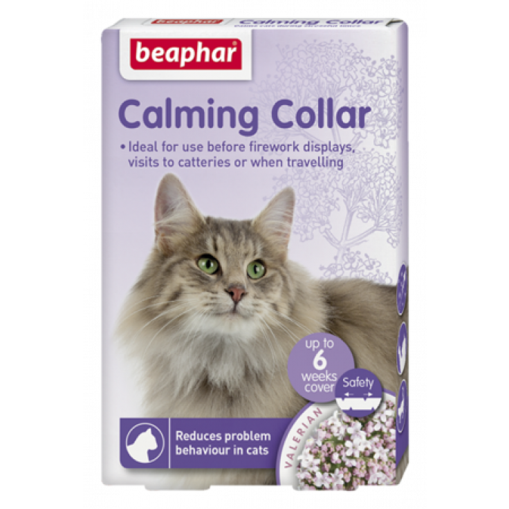 Lavender Collar for Cat