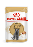 Royal Canin British Shorthair Adult in Gravy Wet Food Pouches