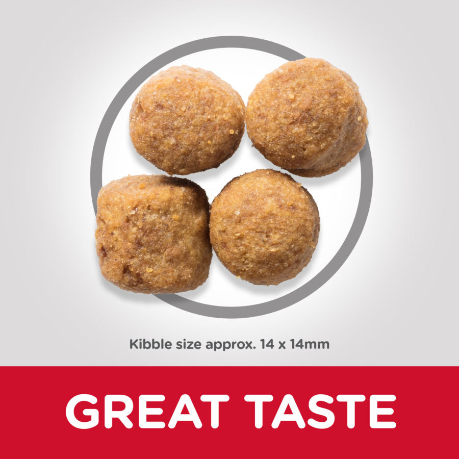 Hill’s Science Plan Large Breed Adult Dog Food With Lamb & Rice 14kg