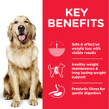 Hill’s Science Plan Perfect Weight Large Breed Adult Dog Food With Chicken 12kg