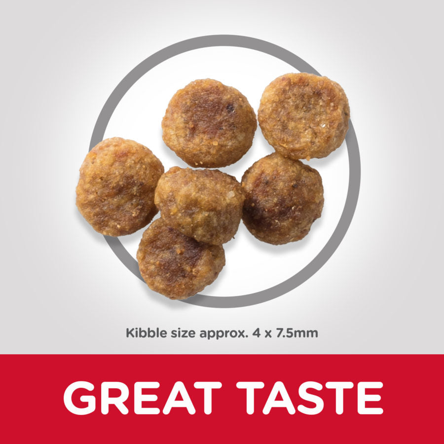 Hill’s Science Plan Small & Mini Adult Dog Food With Lamb & Rice 1.5kg