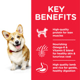 Hill’s Science Plan Small & Mini Adult Dog Food With Chicken
