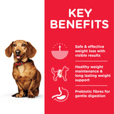 Hill’s Science Plan Perfect Weight Small & Mini Adult Dog Food With Chicken 1.5kg