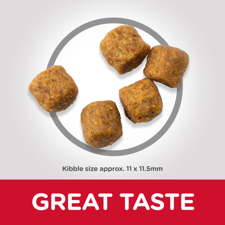 Hill’s Science Plan Medium Mature Adult 7+ Dog Food With Lamb & Rice