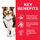 Hill’s Science Plan Medium Mature Adult 7+ Dog Food With Lamb & Rice