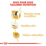 Breed Health Nutrition French Bulldog Adult 3 KG