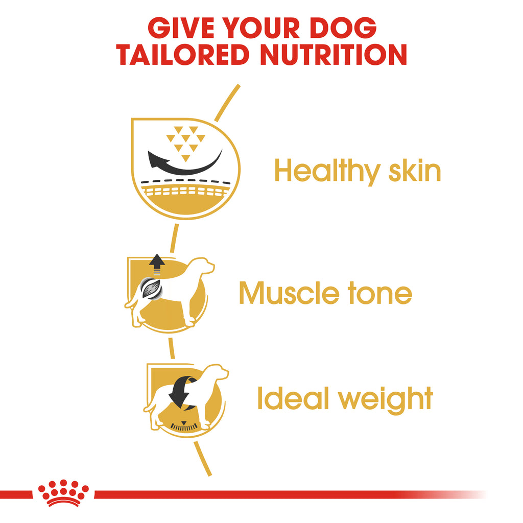 Breed Health Nutrition Pug Adult