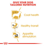 Breed Health Nutrition Chihuahua Adult Wet Food Pouches