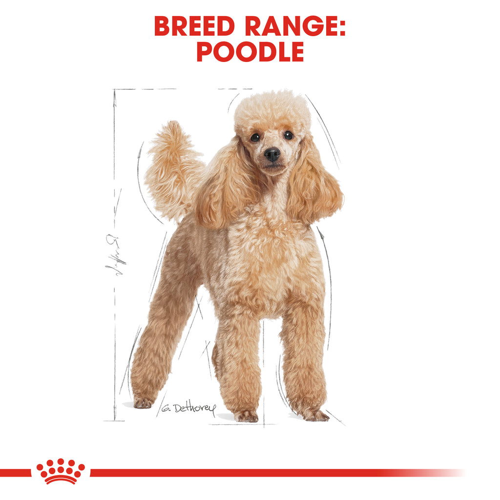 Breed Health Nutrition Poodle Adult Wet Food Pouches