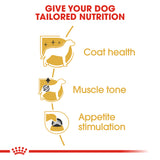 Breed Health Nutrition Poodle Adult Wet Food Pouches