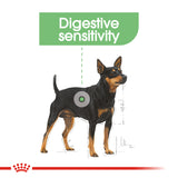 Canine Care Nutrition Digestive Care Wet Food Pouches