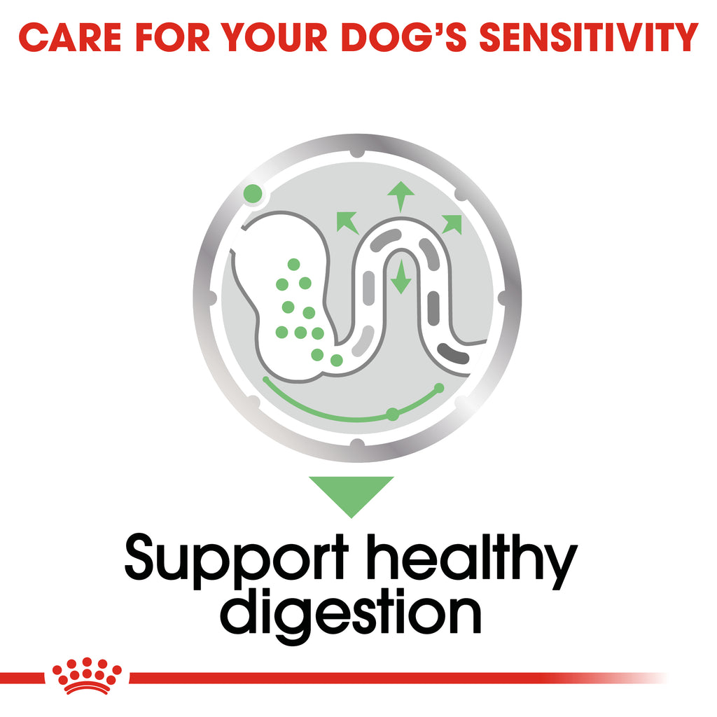 Canine Care Nutrition Digestive Care Wet Food Pouches