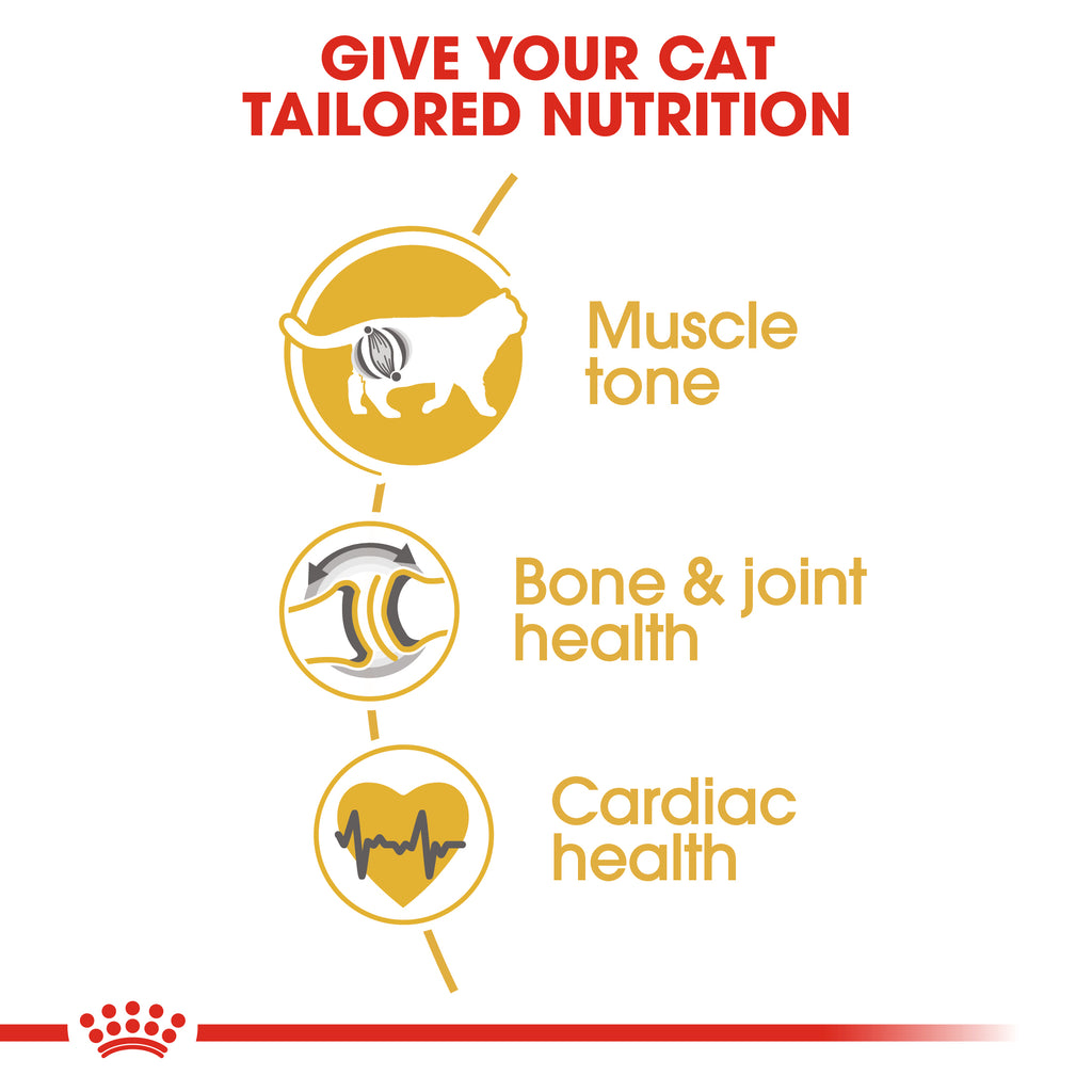 Royal Canin British Shorthair Adult 4kg