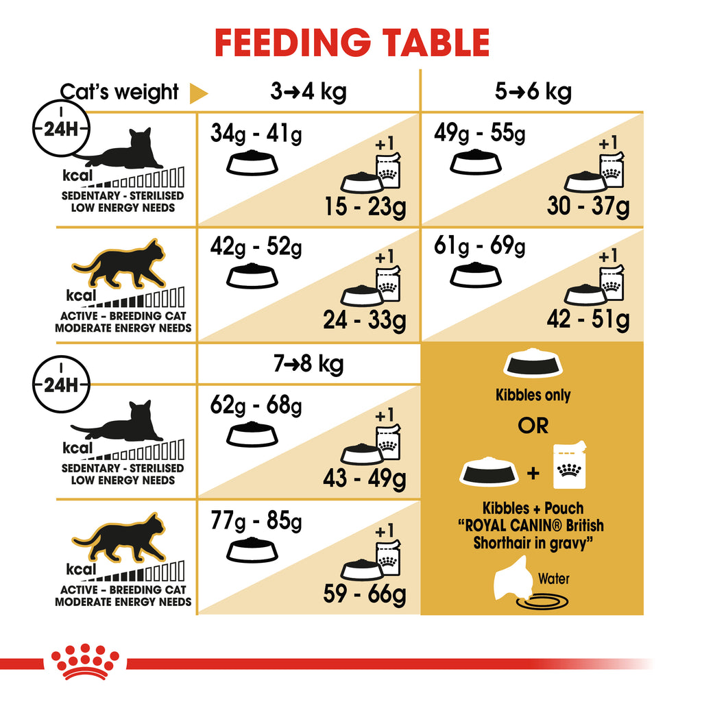 Royal Canin British Shorthair Adult 4kg