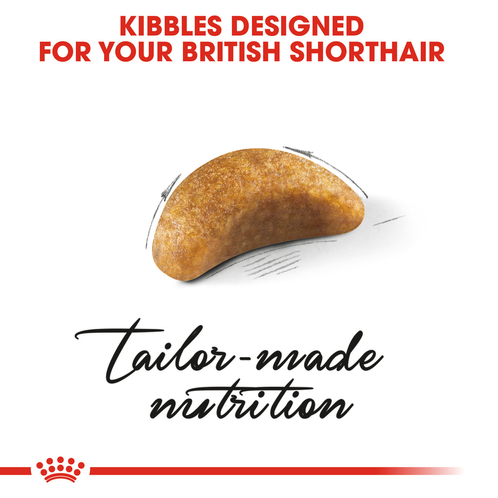 Royal Canin British Shorthair Kitten 2kg