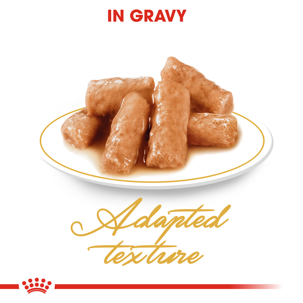 Royal Canin British Shorthair Adult in Gravy Wet Food Pouches