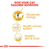 Royal Canin British Shorthair Adult in Gravy Wet Food Pouches