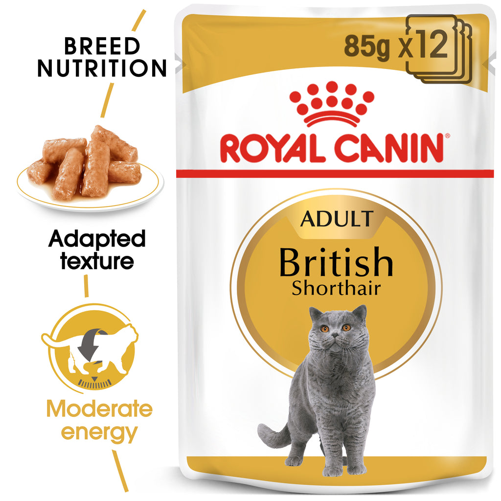 Royal Canin British Shorthair Adult in Gravy Wet Food Pouches