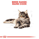 Feline Breed Nutrition Maine Coon Wet Food Pouches