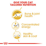 Feline Breed Nutrition Maine Coon Wet Food Pouches