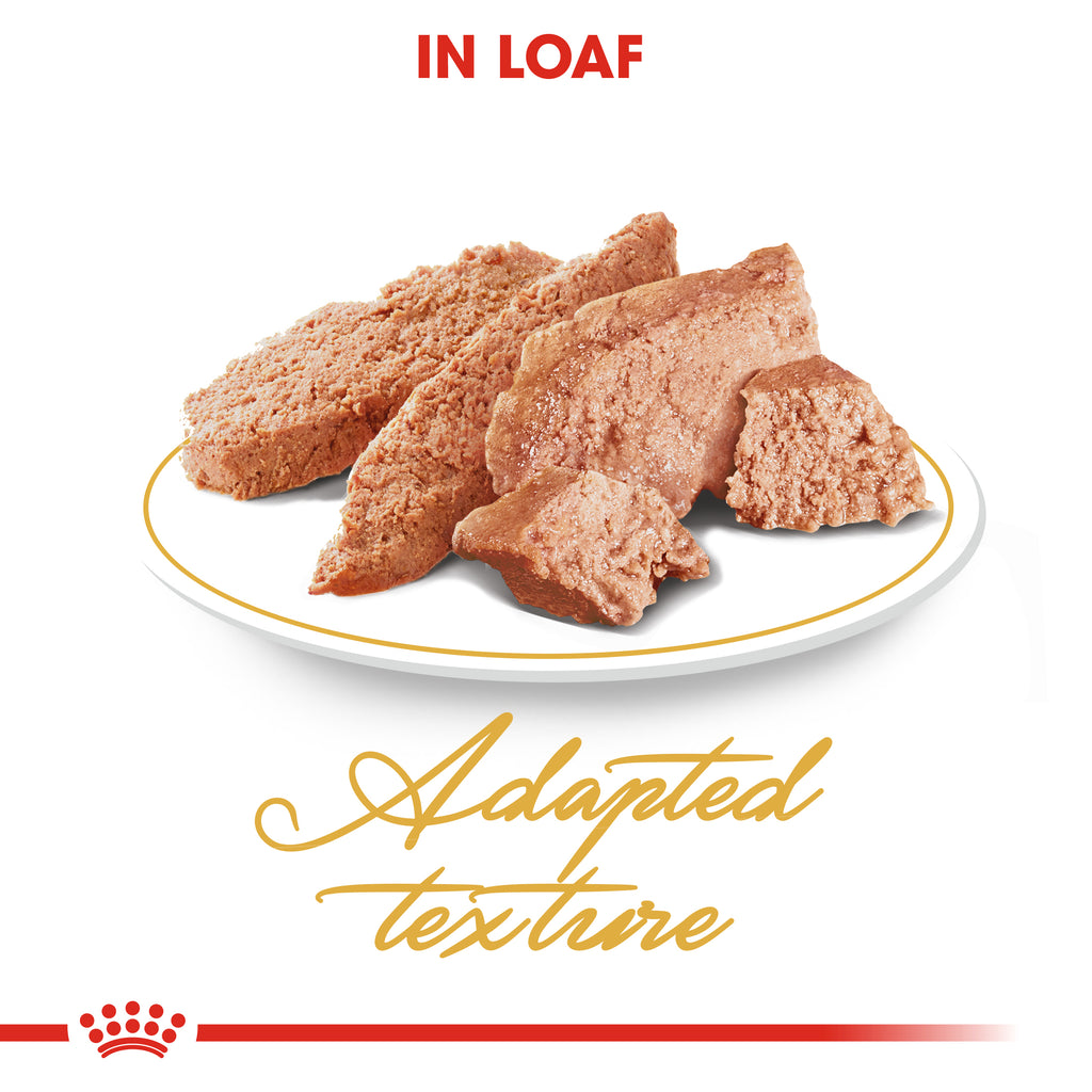Royal Canin Persian Adult in Loaf Wet Food Pouches