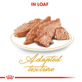 Royal Canin Persian Adult in Loaf Wet Food Pouches