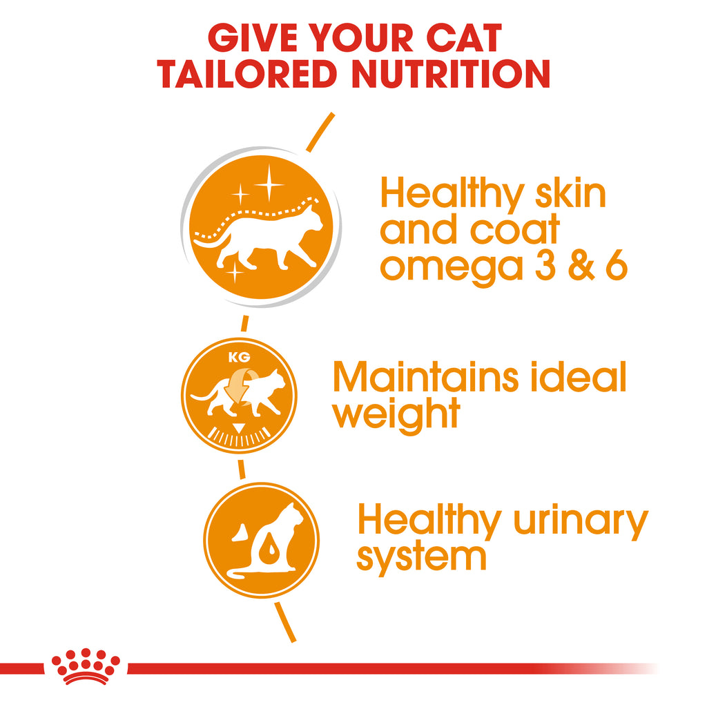 Royal Canin Intense Beauty in Jelly Wet Food Pouches