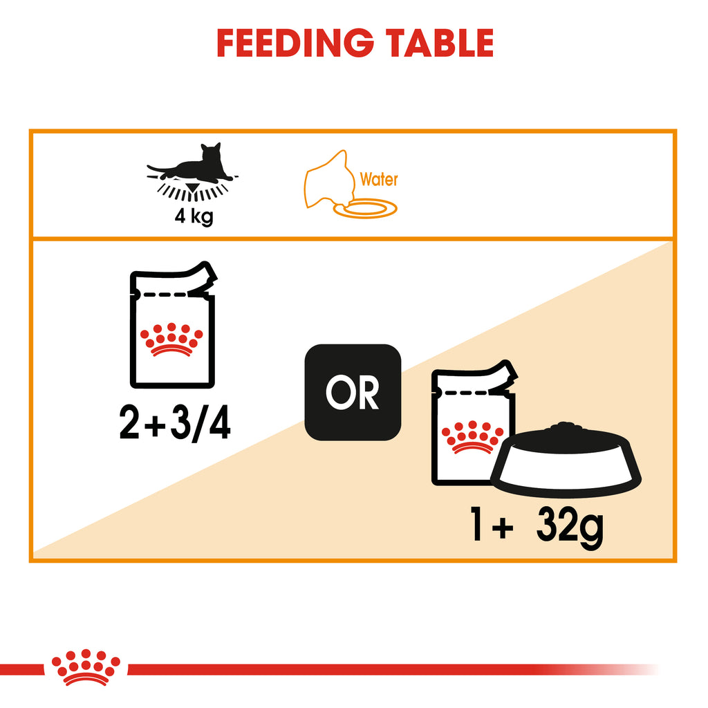 Royal Canin Intense Beauty in Jelly Wet Food Pouches