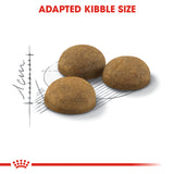 Royal Canin Indoor Long Hair 2kg