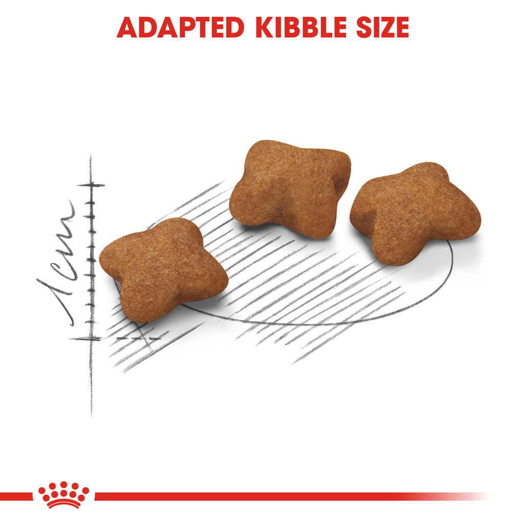 Royal Canin Kitten Sterilised 2kg