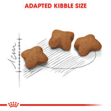 Royal Canin Kitten Sterilised 2kg
