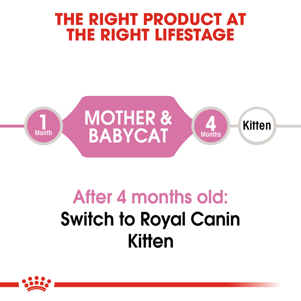 Royal Canin Mother and Babycat