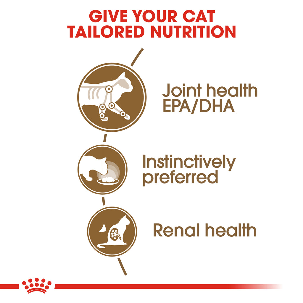 Royal Canin Ageing 12+ Years in Gravy Wet Food Pouches
